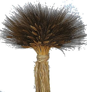 balckbeard
